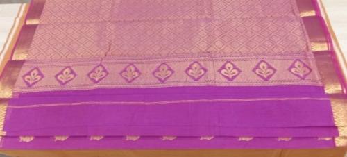 PL BIG BUTTA SAREE